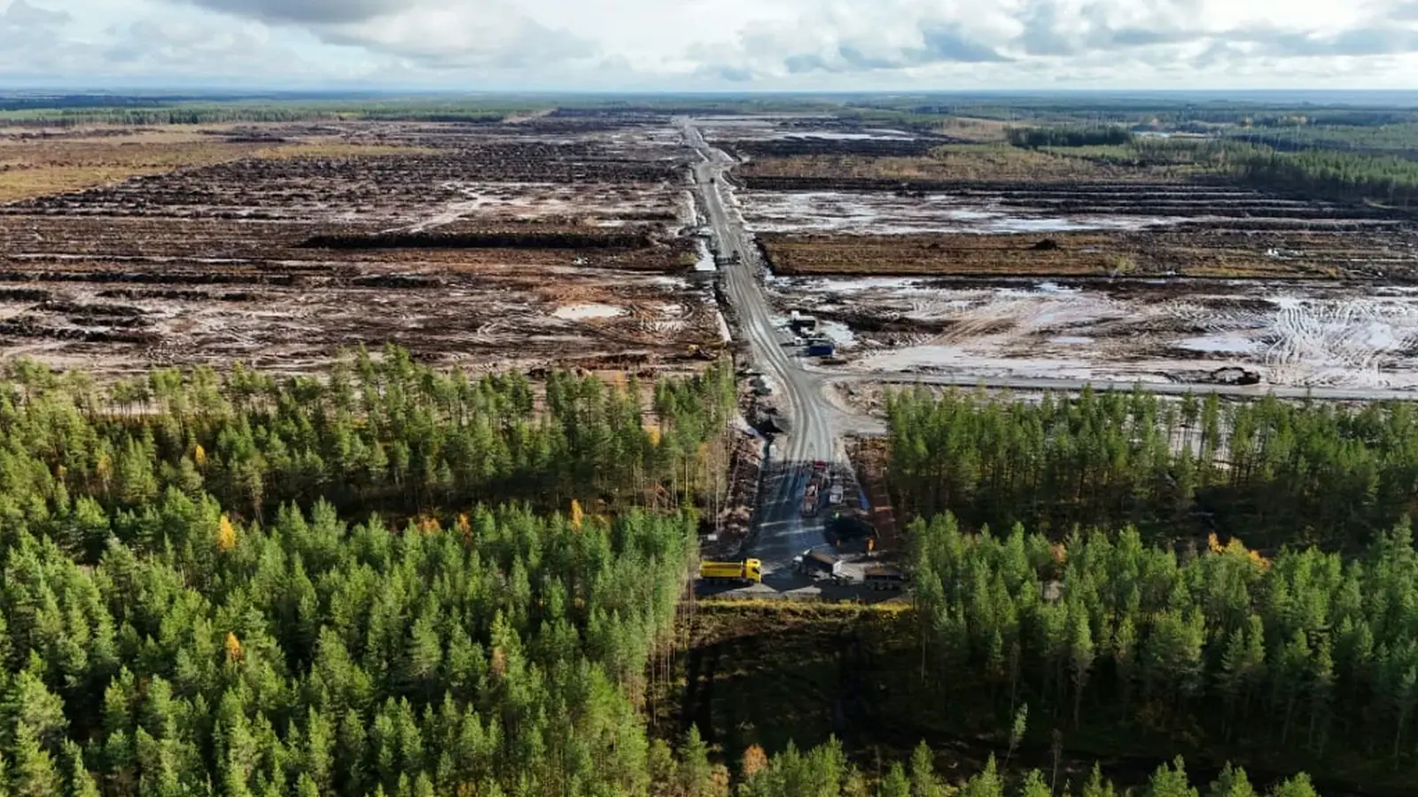 Google acuzat de tăieri ilegale a 300 ha de pădure