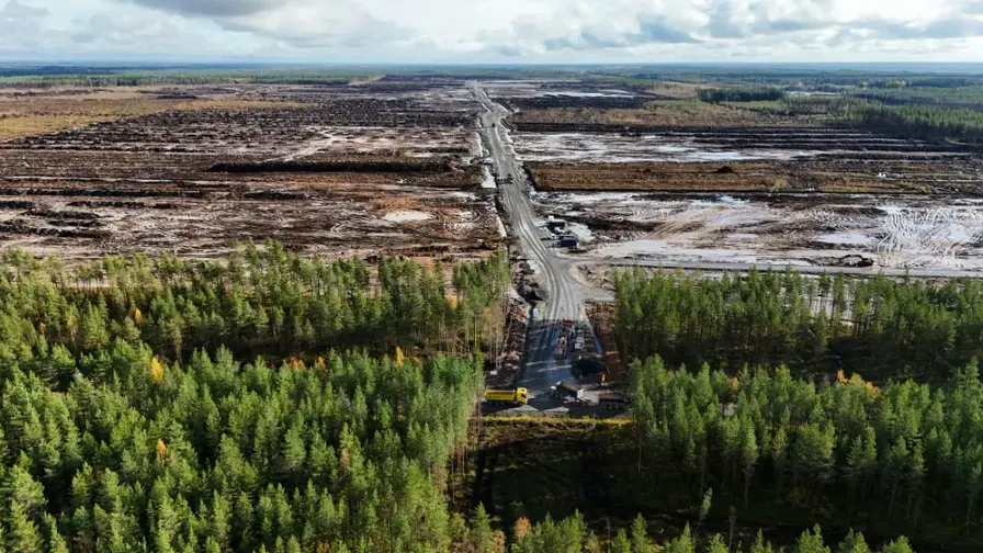 Google acuzat de tăieri ilegale a 300 ha de pădure